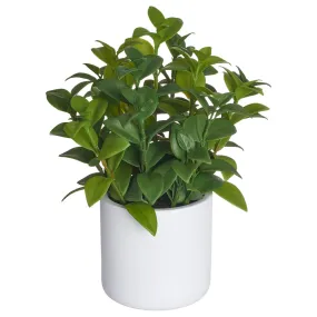 11" Lipstick Vine Silk Plant w/Poly Resin Pot -2 Tone Green (pack of 6)