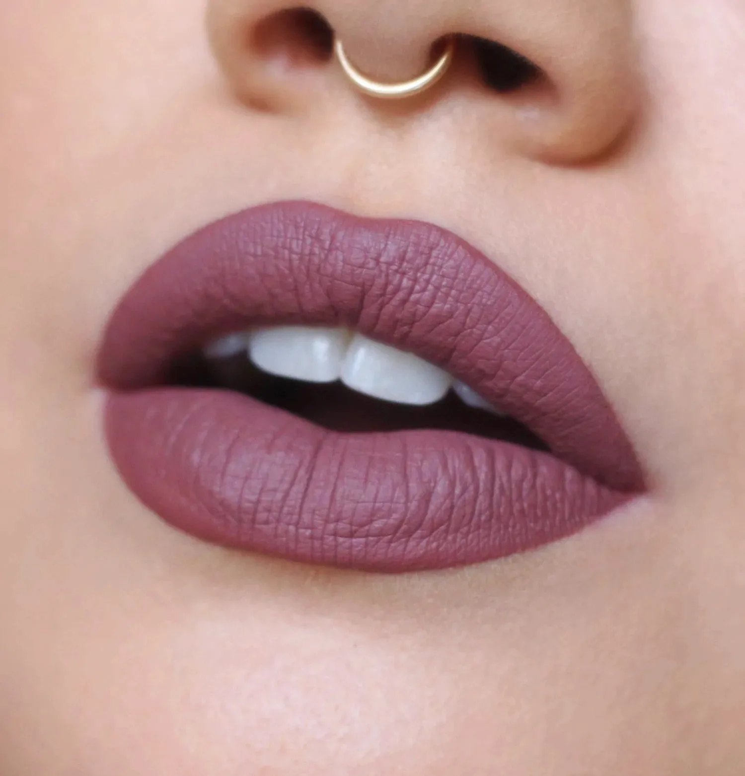 Aiptasia Velvet Matte Liquid Lipstick