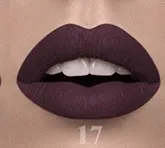 Plum Matte Lipstick