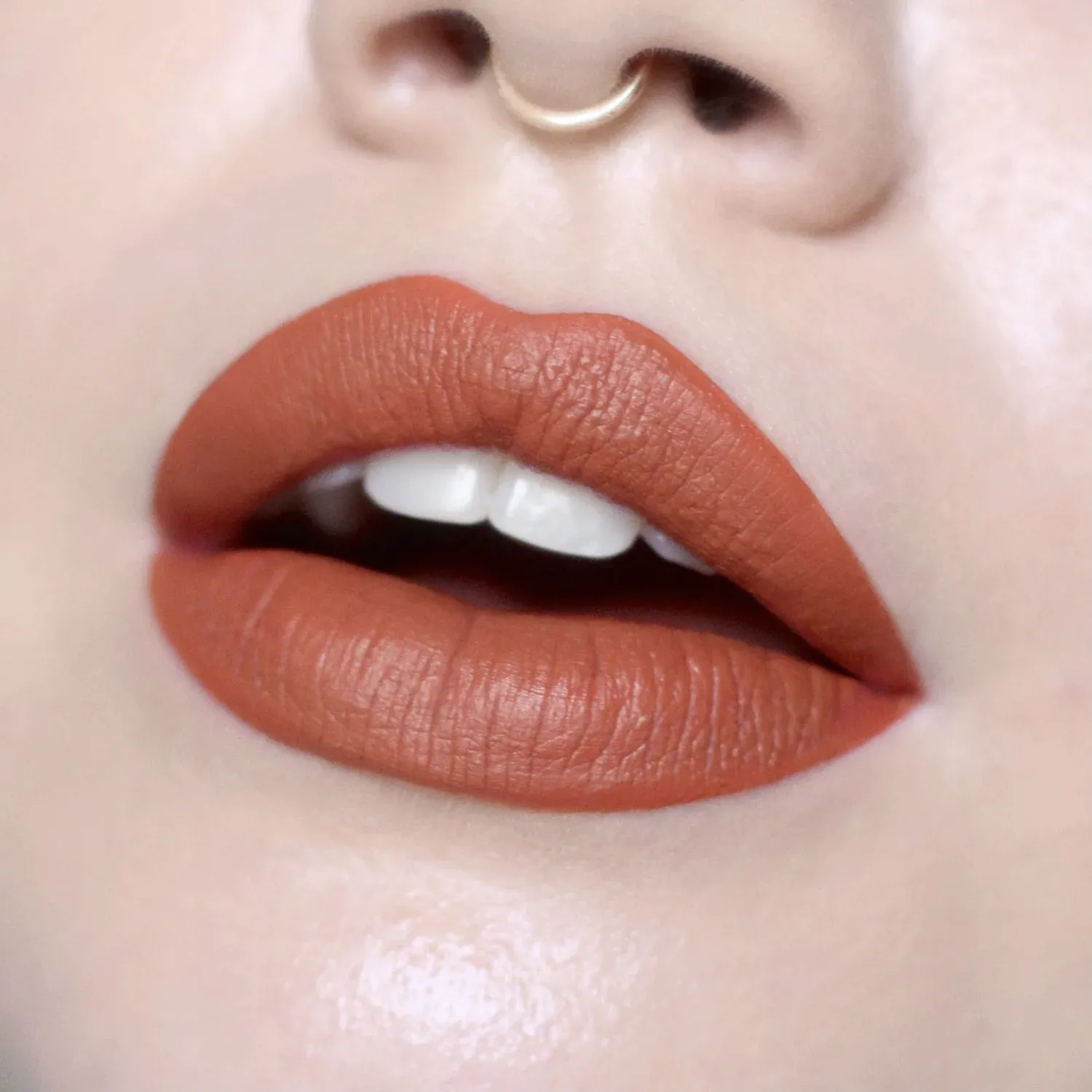 Terracotta Velvet Matte Liquid Lipstick